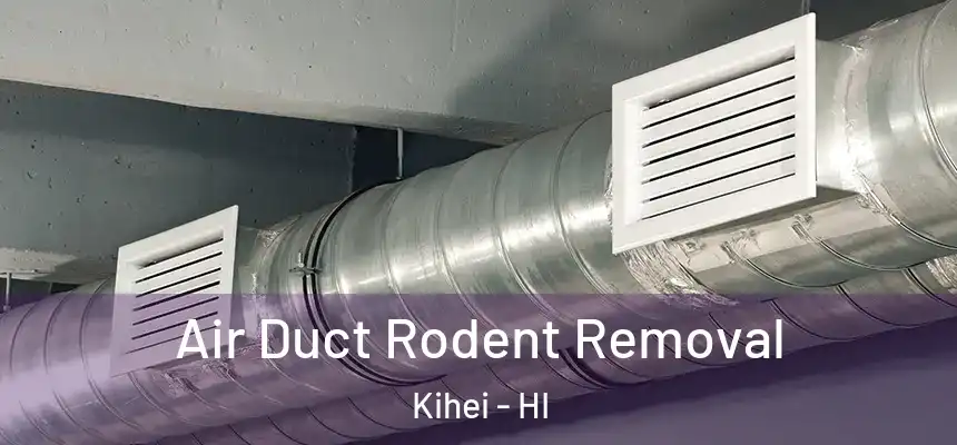  Air Duct Rodent Removal Kihei - HI