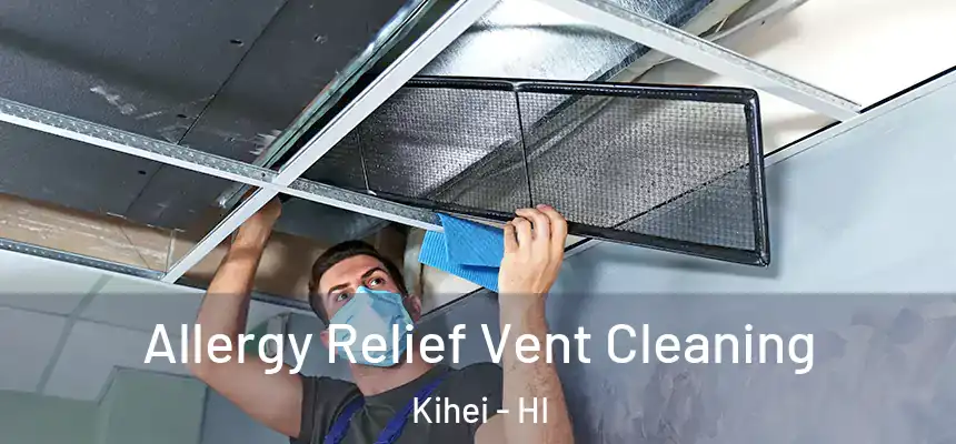  Allergy Relief Vent Cleaning Kihei - HI
