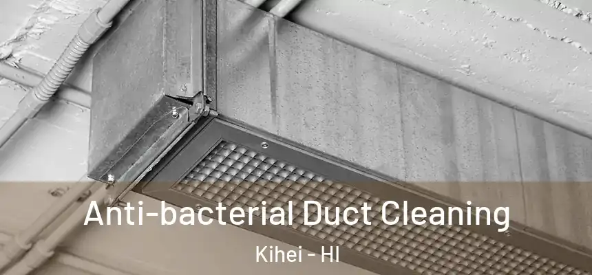  Anti-bacterial Duct Cleaning Kihei - HI