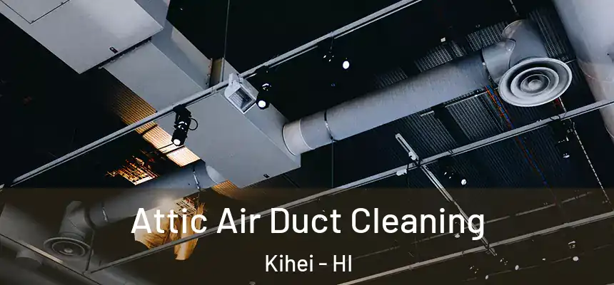  Attic Air Duct Cleaning Kihei - HI