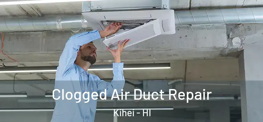  Clogged Air Duct Repair Kihei - HI