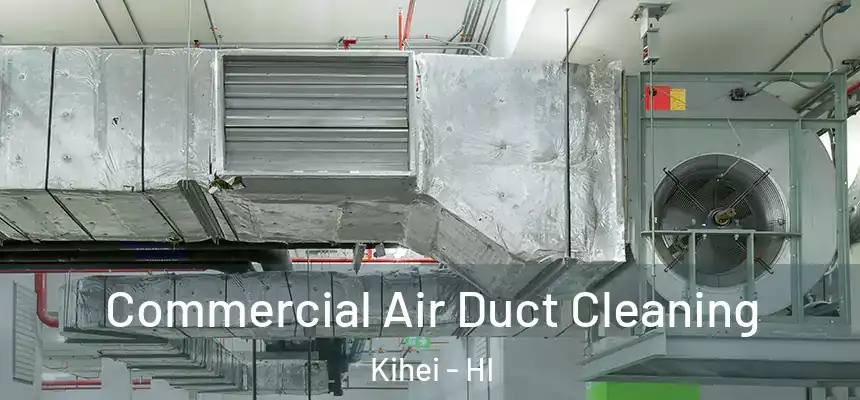 Commercial Air Duct Cleaning Kihei - HI