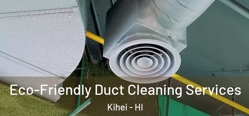  Eco-Friendly Duct Cleaning Services Kihei - HI