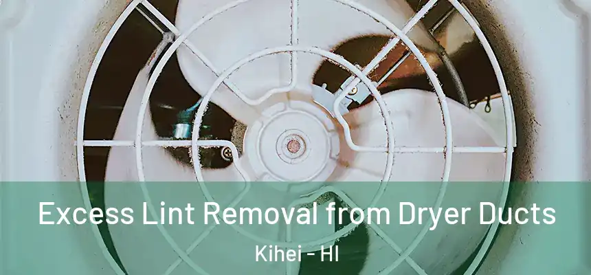 Excess Lint Removal from Dryer Ducts Kihei - HI