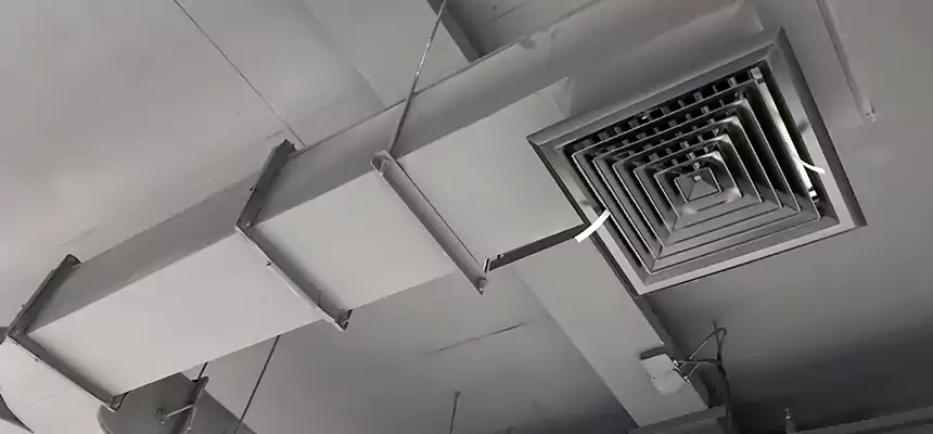 Restorative Allergy Relief Vent Cleaning – Coil, Blower & Housing Detail in Kihei