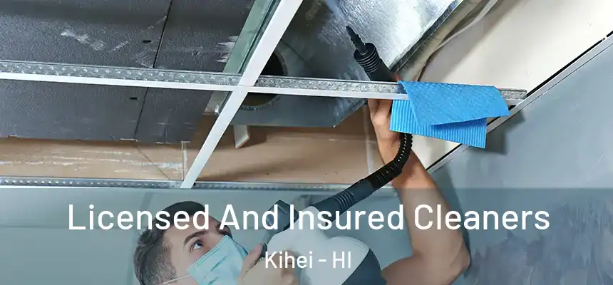  Licensed And Insured Cleaners Kihei - HI