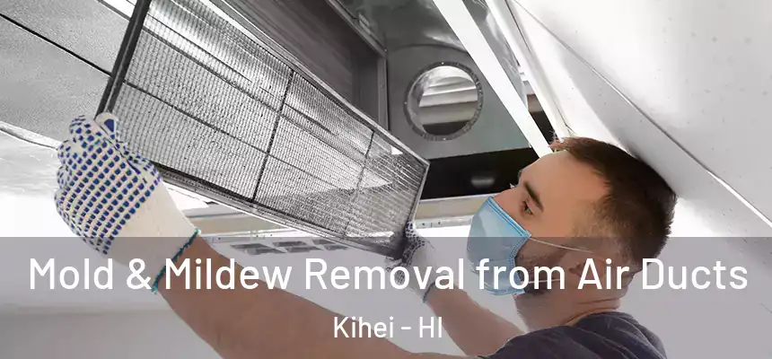 Mold & Mildew Removal from Air Ducts Kihei - HI