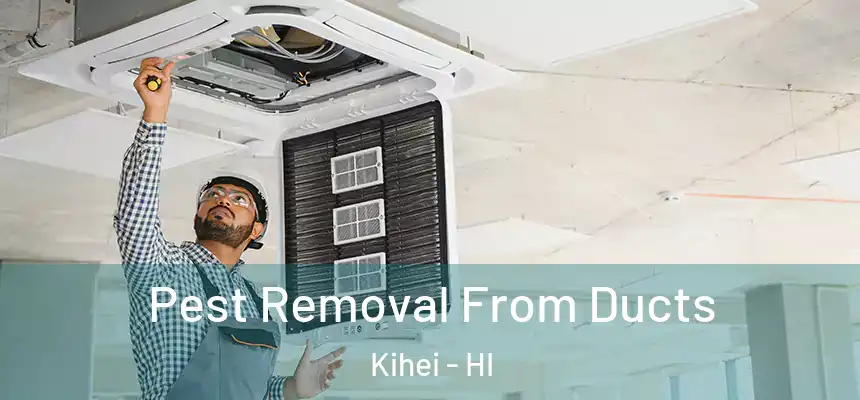  Pest Removal From Ducts Kihei - HI