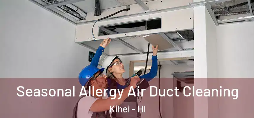  Seasonal Allergy Air Duct Cleaning Kihei - HI