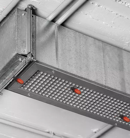 About Air Duct Cockroach Removal in Kihei, HI