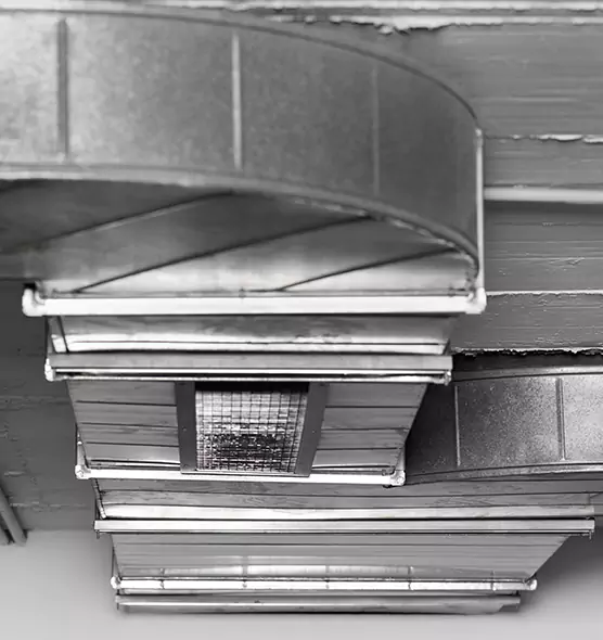 Professional Air Duct Pest Removal in Kihei, HI