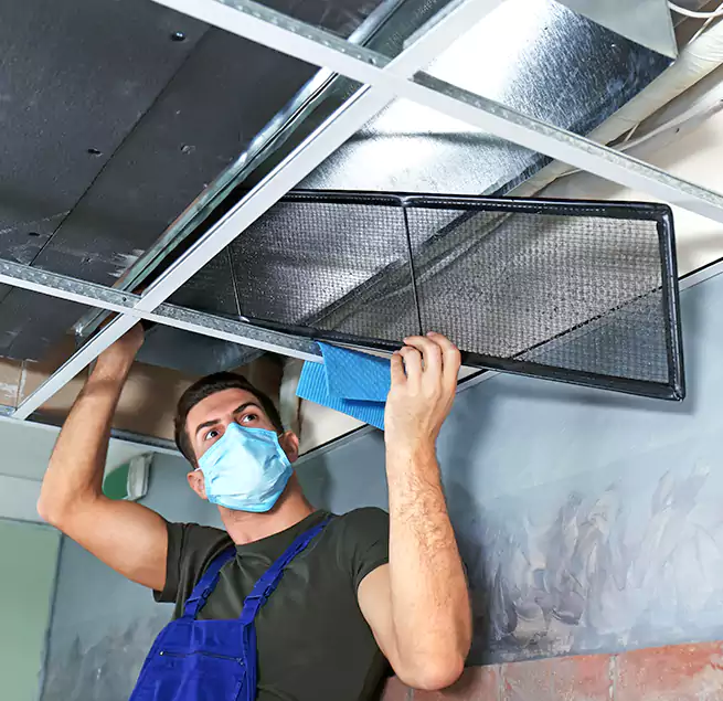 Why Homeowners Businesses Trust Us in Kihei, HI