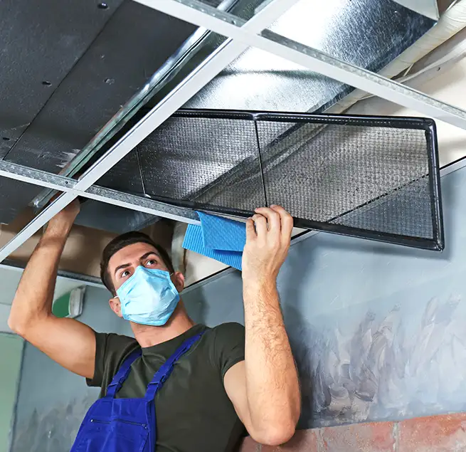 Why Homeowners & Businesses Trust Us in Kihei, HI?