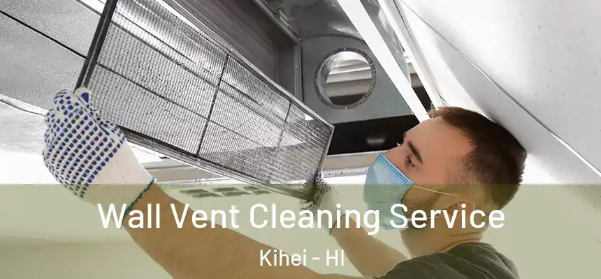  Wall Vent Cleaning Service Kihei - HI